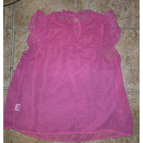 Shein Pink Swiss Polka Dots Sheer Lined Blouse Women's M Ruffles Romantic - Picture 2 of 8
